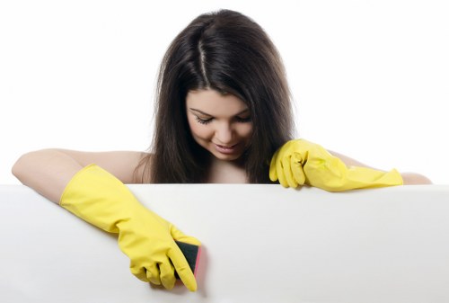 Spot treatment and deep carpet cleaning detail