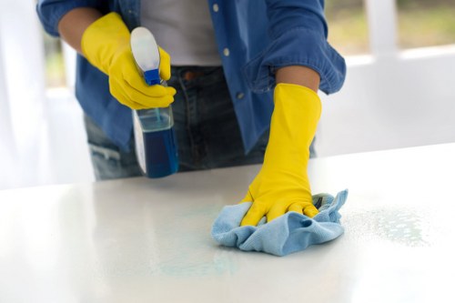 Professional carpet cleaning team using safe methods and equipment